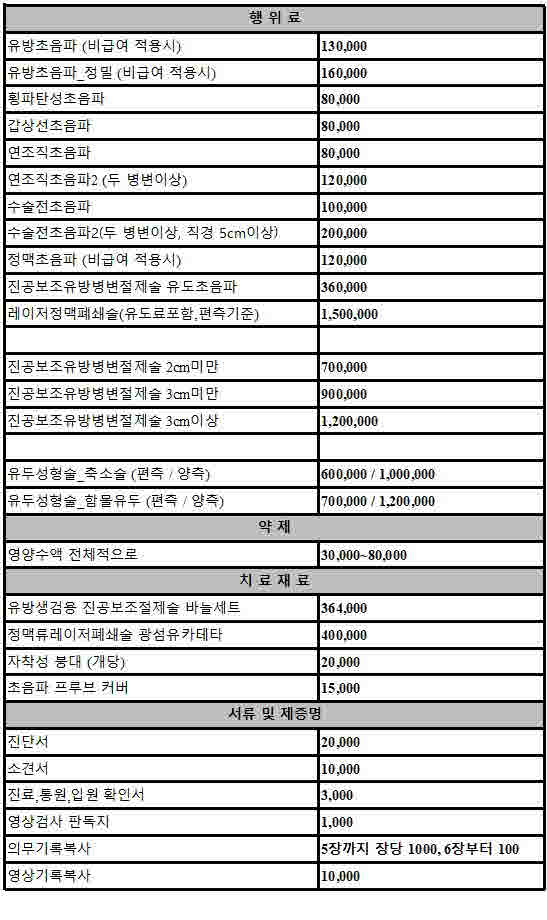 비급여 비용안내
