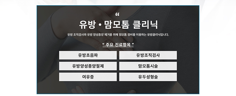 유방초음파, 유방조직검사, 유방양성종양절제, 맘모톰시술, 여유증, 유두성형술
