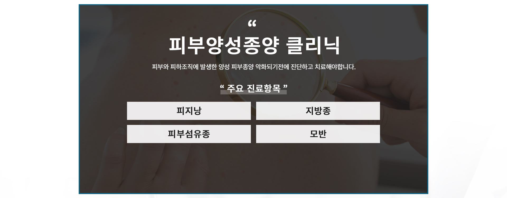 피지낭, 지방종, 피부섬유종, 모반